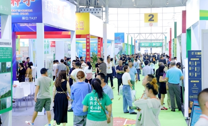 展会现场。主办方供图