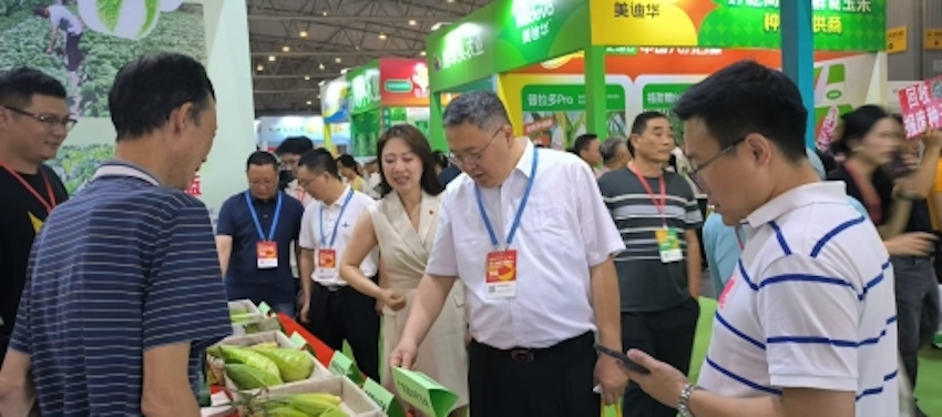 嘉宾参观。主办方供图