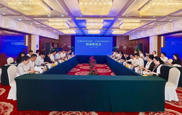 座谈会现场。段盈盈供图