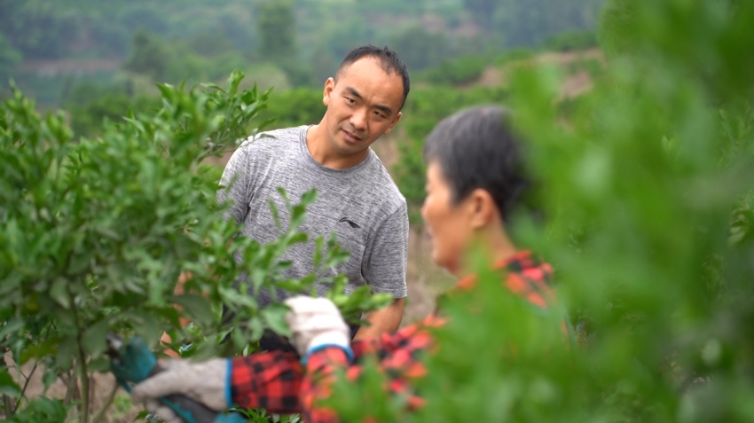 罗泽为村民示范指导。舒晶摄