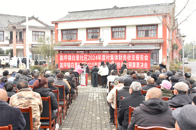 集体财务收支报告会现场。孔继红供图