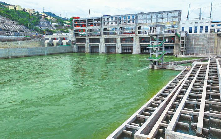 银江水电站千米洄游鱼道投运 翻越大坝鱼儿“回家”
