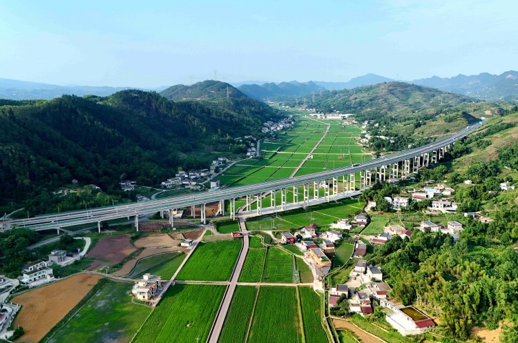 高縣糧油現代農業園區。高縣融媒體中心供圖