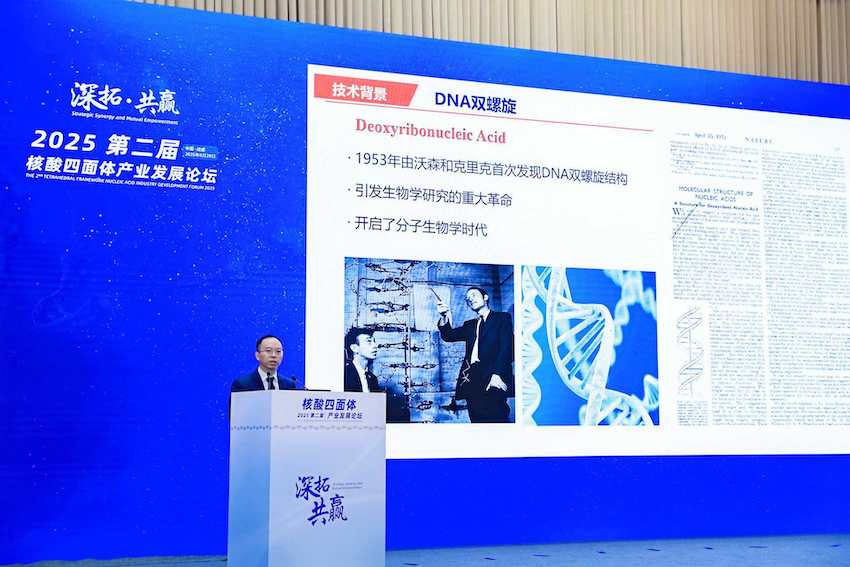 四川大学林云锋教授学术报告。主办方供图