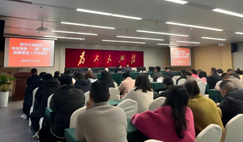 农村集体“三资”管理底数清查工作培训会。成都市农业农村局供图