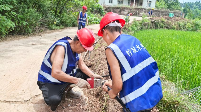入戶支網管道碰頭。潘政吉攝