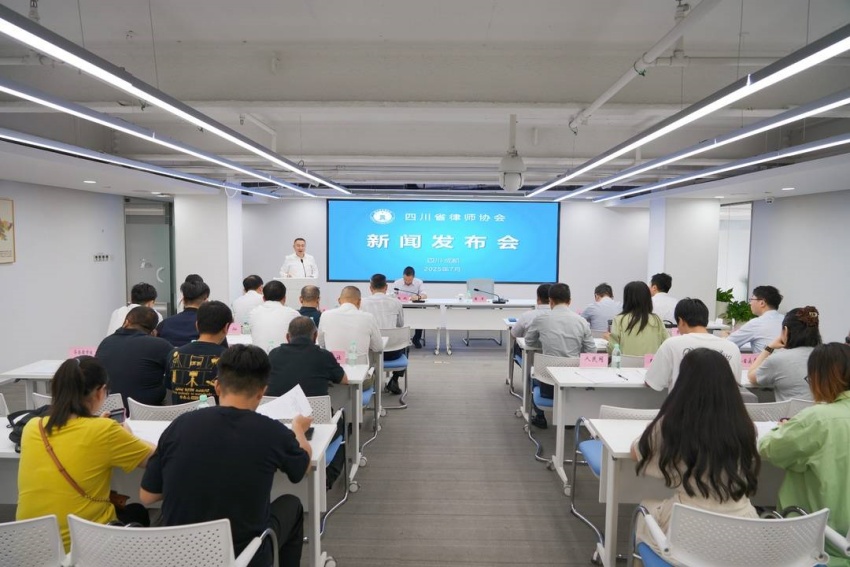 發布會現場。主辦方供圖