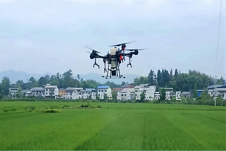 无人机喷洒农药场景。达州市税务局供图