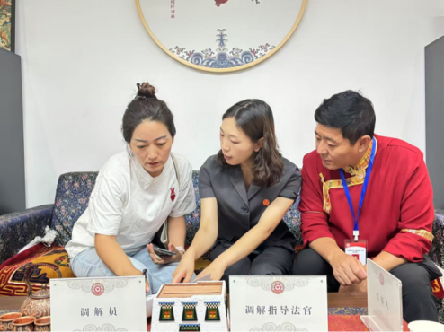 调解现场。武侯区法院供图