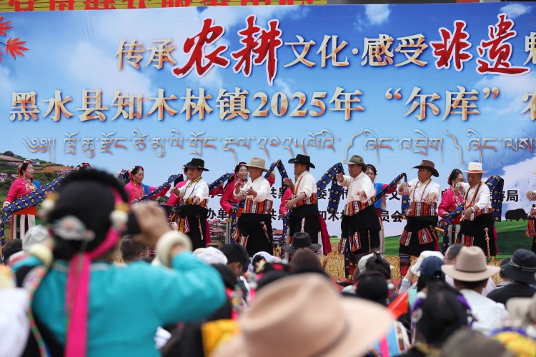 活动现场。黑水县融媒体中心供图