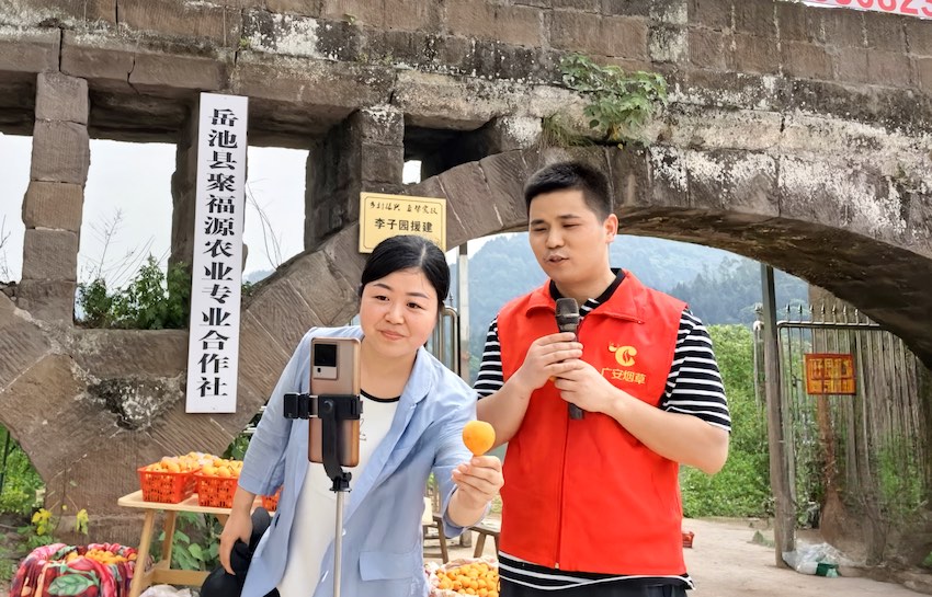 广安烟草驻岳池县普安镇龙泉罐村第一书记张耘(女)及党员志愿者开展线上直播助力困难果农销售批杷 。王泽亚供图