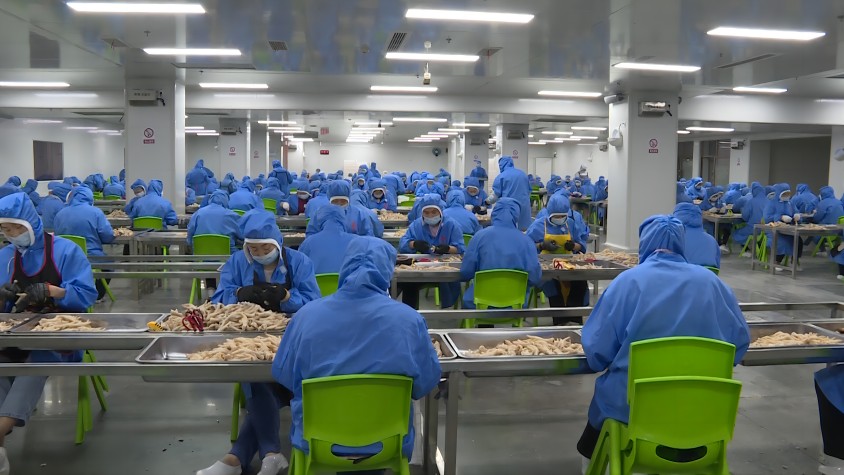 集州街道”袁方食品富民幸福工坊“的居民们正在对鸡爪去骨。南江县委宣传部供图