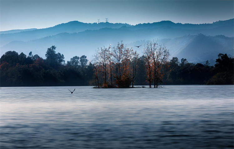 三岔湖的煙波浩渺。主辦方供圖