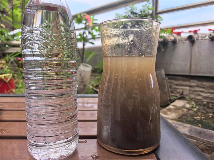 带泥沙的污浊水和经过处理后的水。郑栋梁供图