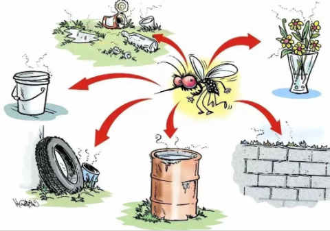 伊蚊潛在的孳生場所。汶川縣中醫醫院供圖