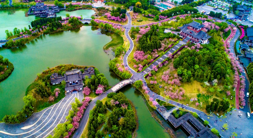 凤凰湖湿地公园。青白江区委宣传部供图