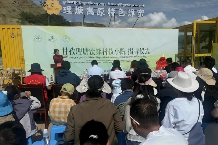 揭牌儀式現場。新都統戰部供圖