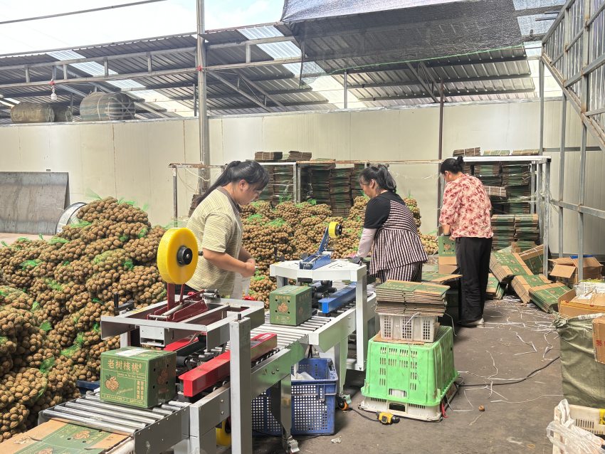 正在对核桃打包。德昌县委宣传部供图