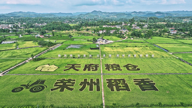 荣县观山镇赖河坝。徐振宇供图