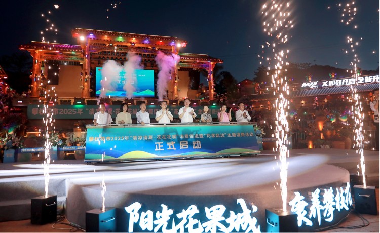 启动仪式现场。主办方供图