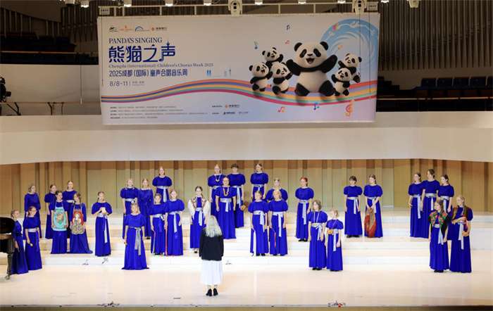 演出现场。主办方供图