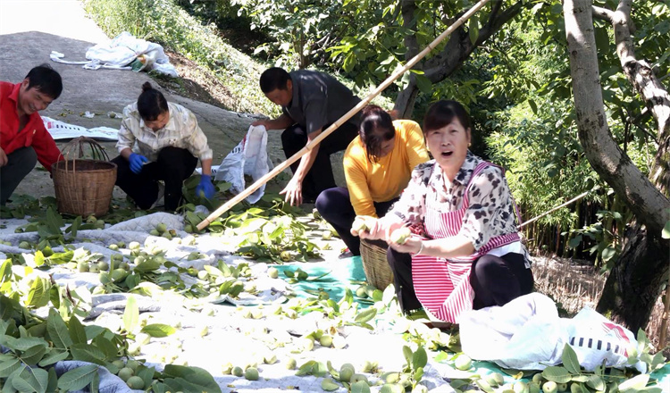丰收的喜悦洋溢在每个人的脸上。冉金鹭供图