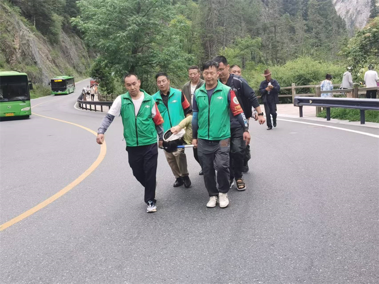 轉運高反游客。九管局供圖