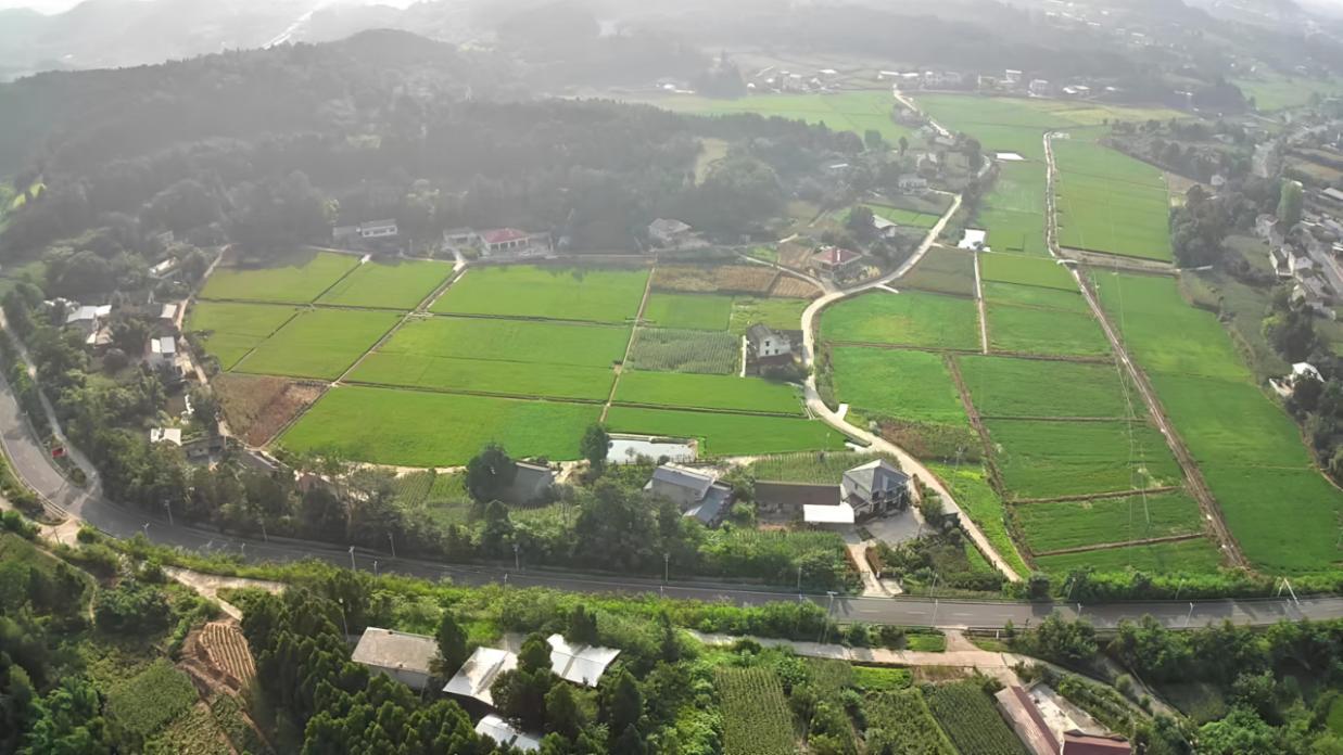 三台县八洞镇等6个镇乡高标准农田项目。农发行绵阳市分行供图