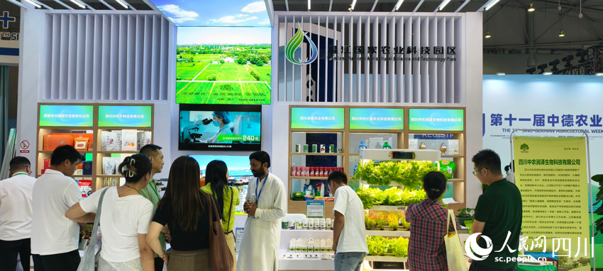 博览会现场。张梦佳摄