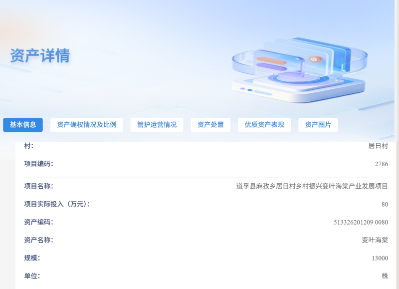 居日村“一资一码”资产详情界面切图。