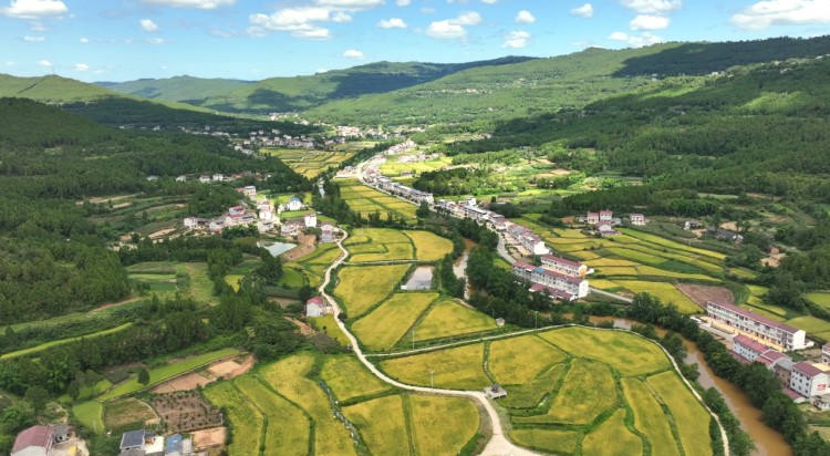 劍南糧油園區。楊文波供圖