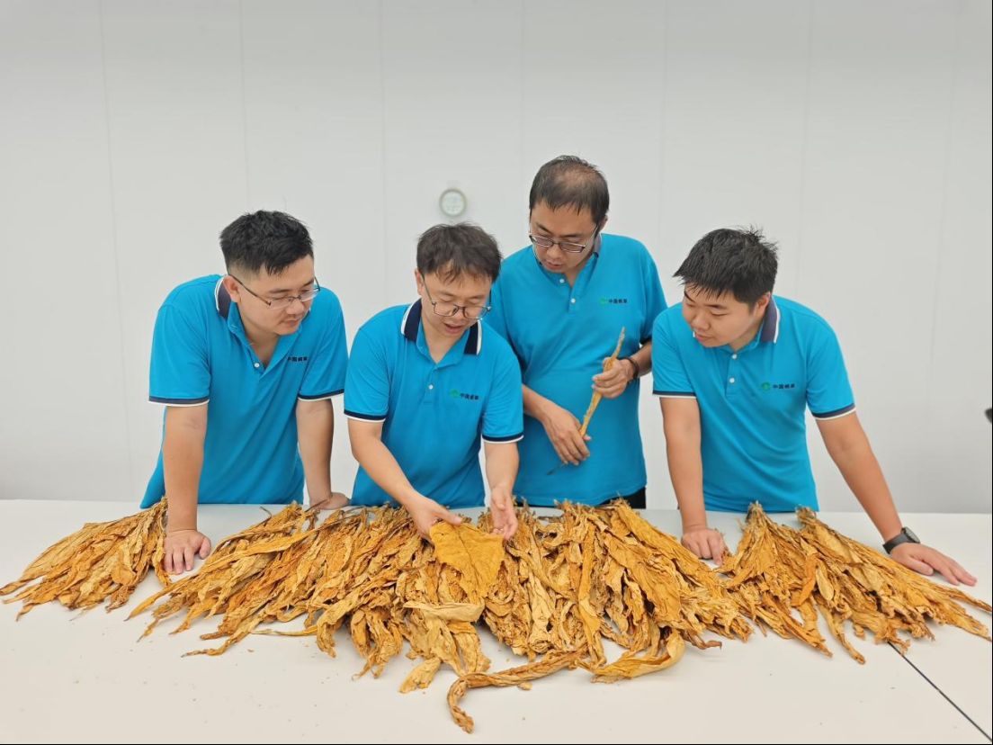 王浩璋（左二）在烟叶评级技能实训室指导学员实操练习。四川烟叶复烤有限责任公司供图