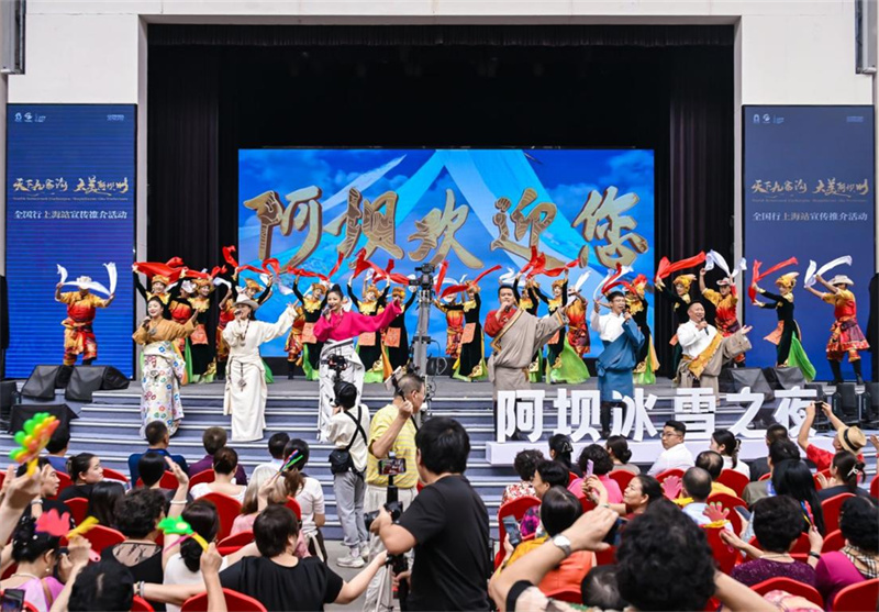 推介活動現場。主辦方供圖