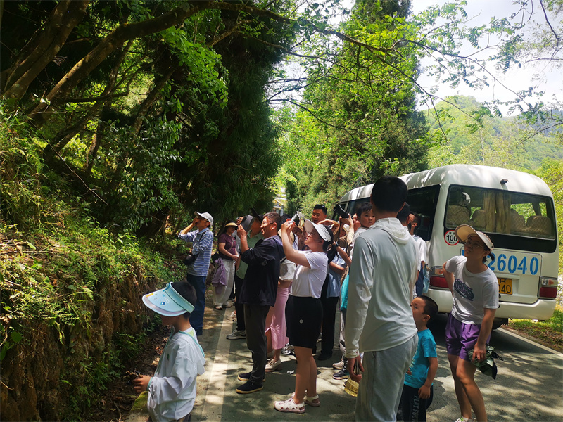 游客到青川賞景。青川縣融媒體中心供圖