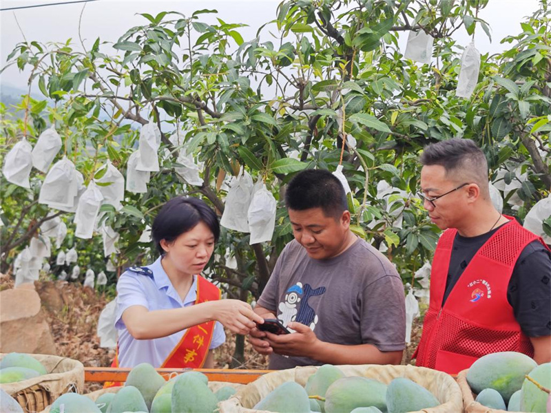 税务干部现场辅导果农办税开票。攀枝花市税务局供图