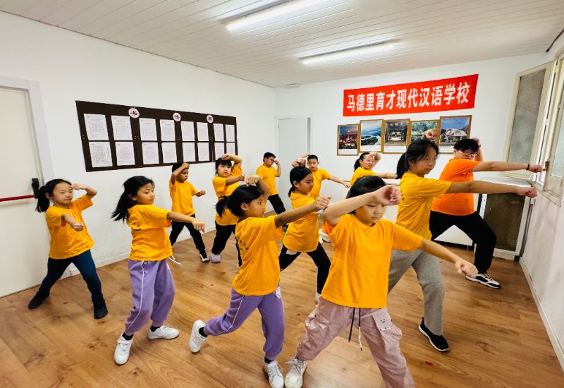 两校师生通过云端相聚,共同参与这场武术文化之约。主办方供图