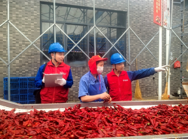 國網成都市郫都供電公司客戶經理在郫縣豆瓣生產企業，開展節前檢查專屬服務，保障企業開足馬力生產。高毓攝