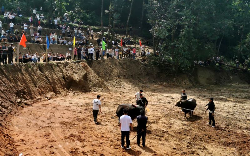 斗牛。德昌县委宣传部供图