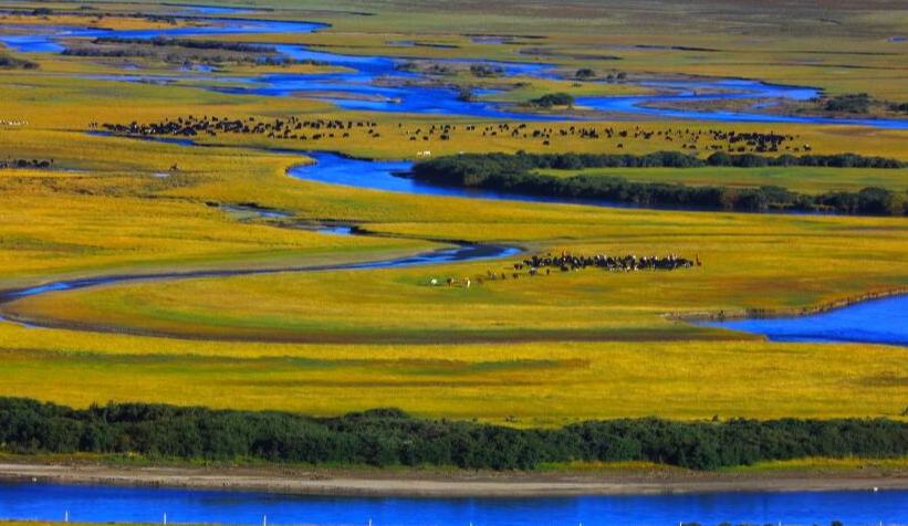 甘孜州理塘县无量河湿地