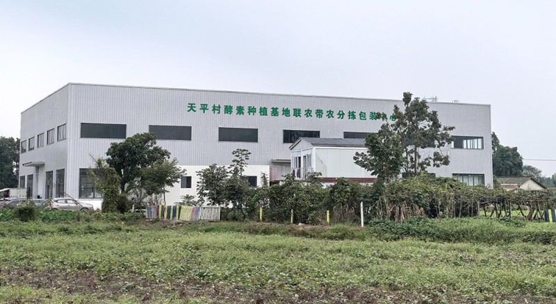 酵素生態特色種植園區包裝中心。綿竹市融媒體中心供圖
