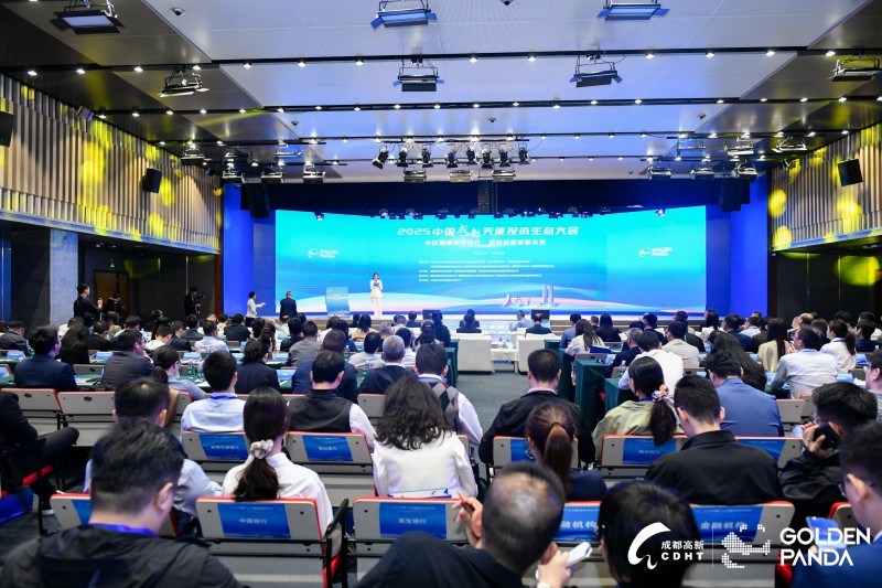 大會現場。主辦方供圖