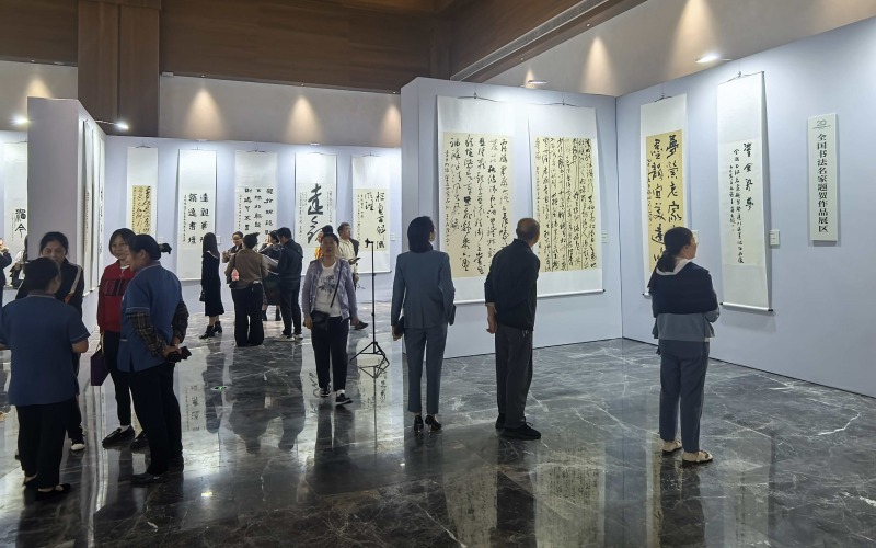 市民参观学习全国书法名家精品力作。达州市委宣传部供图