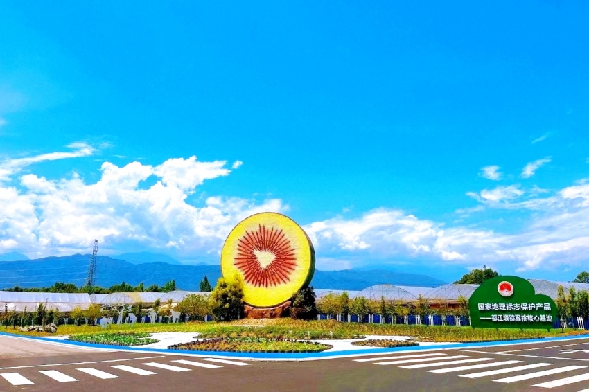国家地理标志保护产品——都江堰猕猴桃核心基地。都江堰市委社会工作部供图
