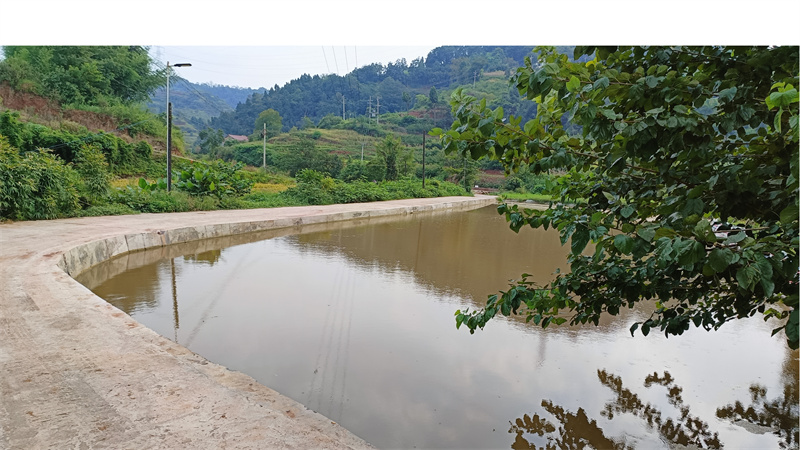 修復后的道路。敘州區融媒體中心供圖