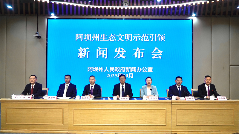 新聞發布會現場。人民網記者 王波攝