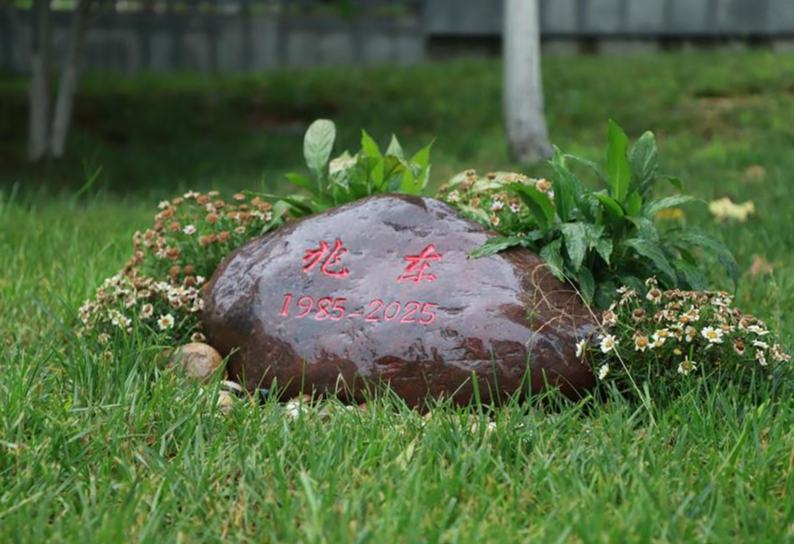 那盏灯，照亮初心