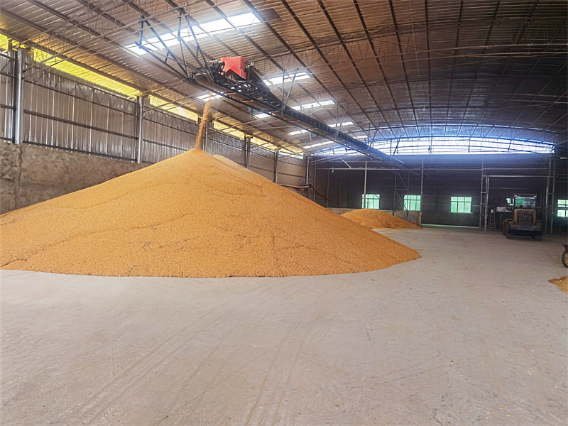 烘干倉儲中心。劍閣縣融媒體中心供圖