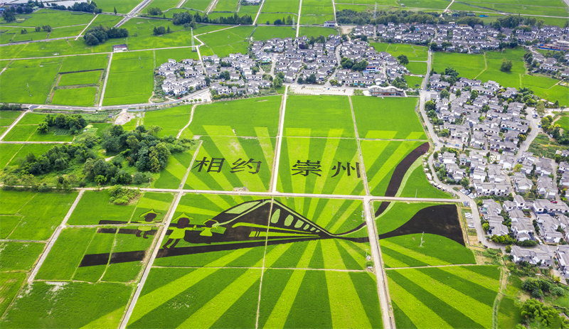 崇州鄉村一角。崇州市委宣傳部供圖