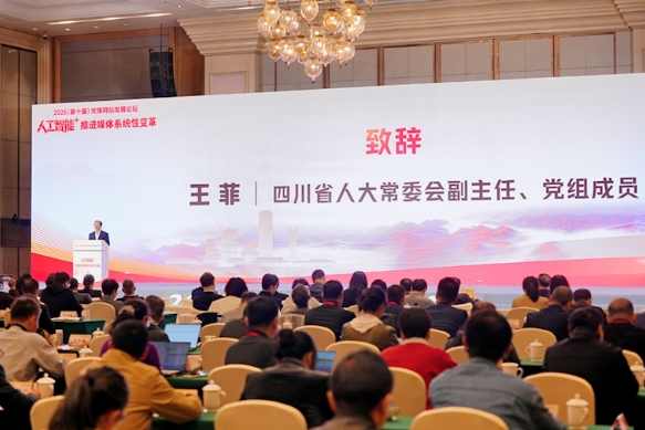 四川省人大常委会副主任、党组成员王菲致辞
