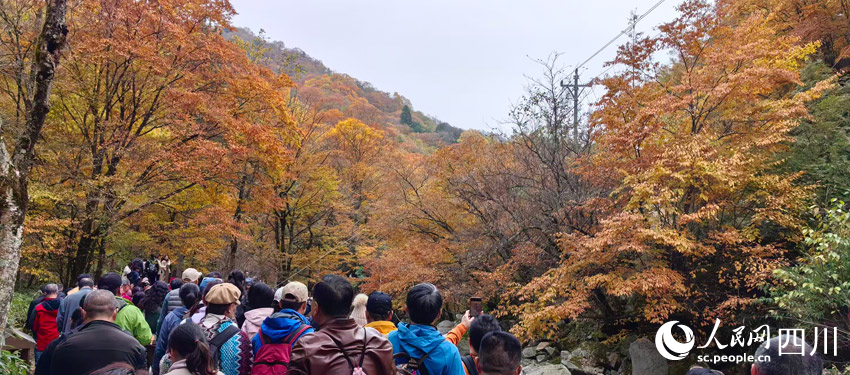 众多游客观赏光雾山红叶。人民网记者 刘海天摄